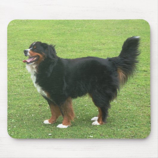 Bernese Gebirgshund Mousepad (Vorne)