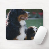 Bernese Gebirgshund Mousepad (Mit Mouse)