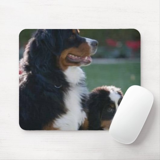 Bernese Gebirgshund Mousepad (Mit Mouse)