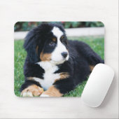 Bernese Gebirgshund Mousepad (Mit Mouse)