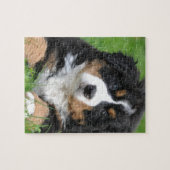 Bernese Gebirgshund Puzzle (Horizontal)