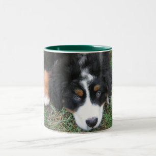 Bernese Gebirgshund Zweifarbige Tasse