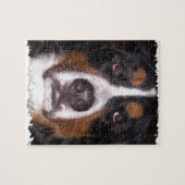 : Bernese Gebirgshunde" "großer Hunde" Hund Puzzle (Horizontal)