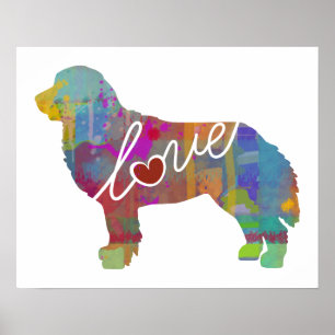 Bernese GebirgshundeAquarell Poster