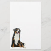 Bernese Gebirgshundebriefpapier Briefpapier (Vorderseite)