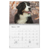Bernese Gebirgshundekalender 2016 Kalender (Feb 2027)
