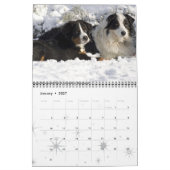 Bernese Gebirgshundekalender 2016 Kalender (Jan 2027)