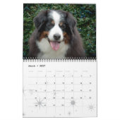 Bernese Gebirgshundekalender 2016 Kalender (Mär 2027)