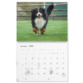 Bernese Gebirgshundekalender 2017 Kalender (Jan 2027)