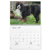 Bernese Gebirgshundekalender 2017 Kalender (Feb 2027)