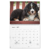 Bernese Gebirgshundekalender 2017 Kalender (Mär 2027)