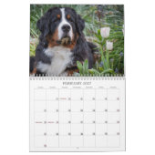 Bernese Gebirgshundekalender 2018 Kalender (Feb 2027)