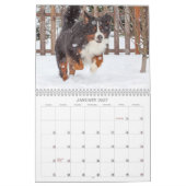 Bernese Gebirgshundekalender 2018 Kalender (Jan 2027)