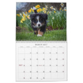 Bernese Gebirgshundekalender 2018 Kalender (Mär 2027)