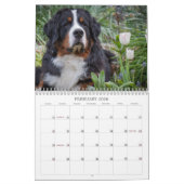 Bernese Gebirgshundekalender 2018 Kalender (Feb 2026)