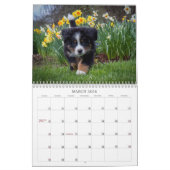 Bernese Gebirgshundekalender 2018 Kalender (Mär 2026)