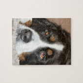 bernese Gebirgshundelegen Puzzle (Horizontal)