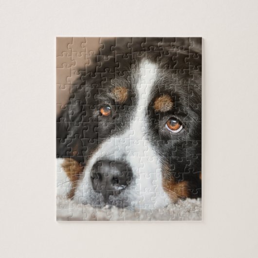 bernese Gebirgshundelegen Puzzle (Vertikal)