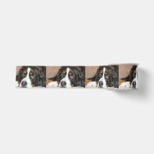 bernese Gebirgshundelegen Ripsband (Vorderseite)