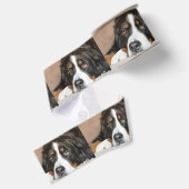 bernese Gebirgshundelegen Ripsband (Rückseite)