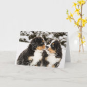 Bernese Gebirgshundemarionetten-Atemzug Karte (Gelbe Blume)