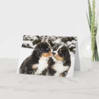 Bernese Gebirgshundemarionetten-Atemzug