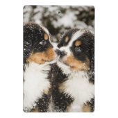 Bernese Gebirgshundemarionetten-Atemzug Mini Klemmbrett (Rückseite)