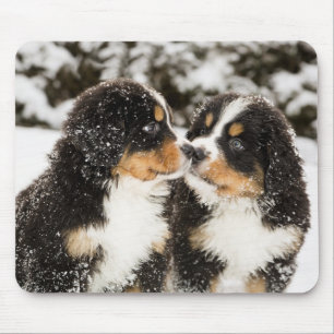 Bernese Gebirgshundemarionetten-Atemzug Mousepad
