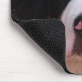 Bernese Gebirgshundemausunterlage Mousepad (Ecke)