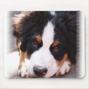 Bernese Gebirgshundemausunterlage Mousepad