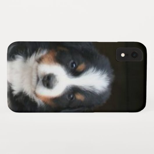 Bernese Gebirgshundewelpe iphone Xr Speck-Kasten Case-Mate iPhone Hülle (Rückseite (Horizontal))