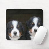 Bernese Gebirgshundewelpen mousepad (Mit Mouse)