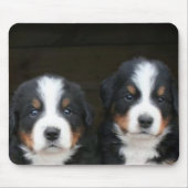Bernese Gebirgshundewelpen mousepad (Vorne)