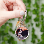 Bernese Gebirgshundewelpen-Schlüsselanhänger Schlüsselanhänger (Hand)