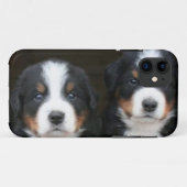 Bernese GebirgshundiPhone 5 Case-Mate ID™ Case-Mate iPhone Hülle (Rückseite (Horizontal))