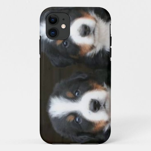 Bernese GebirgshundiPhone 5 Case-Mate ID™ iPhone Hülle (Rückseite)
