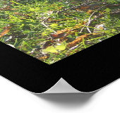 Bernese Herbstleaves Poster (Ecke)