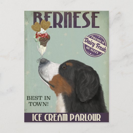 Bernese Ice Cream Postkarte (Vorderseite)