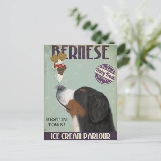 Bernese Ice Cream Postkarte (Stehend Vorderseite)
