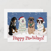 Bernese Leonberger Große Pyrenäen Postkarte (Vorne/Hinten)