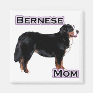 Bernese Mama 4 - Magnet
