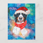 Bernese Mountain Breed Dog Weihnachten (Vorderseite)