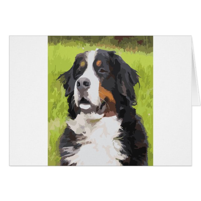 Bernese Mountain Dog (Vorderseite (Horizontal))
