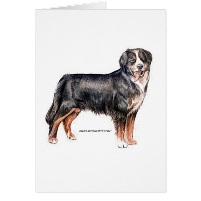 Bernese Mountain Dog (Vorne)
