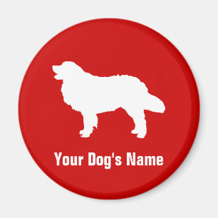Bernese Mountain Dog ニ ・ ウズテ・ Magnet