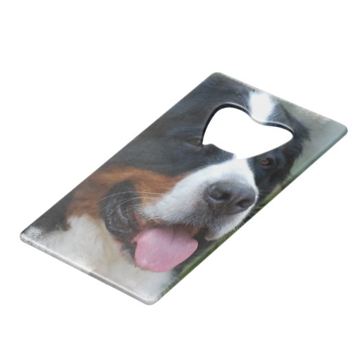 bernese-mountain-dog-7 kreditkartenflaschenöffner (Vorderseite Schrägansicht)