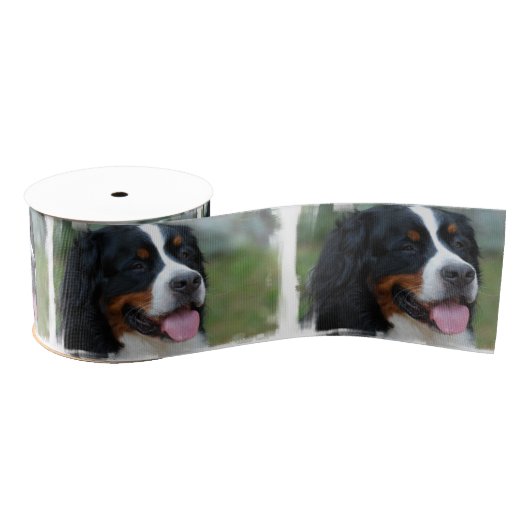 bernese-mountain-dog-7 ripsband (Spule)