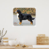 Bernese Mountain Dog 9T066D-221 Poster (Küche)