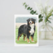 Bernese Mountain Dog 9Y066D-133 Postkarte (Stehend Vorderseite)