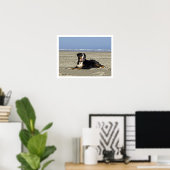 Bernese Mountain Dog am Strand Poster (Heimbüro)